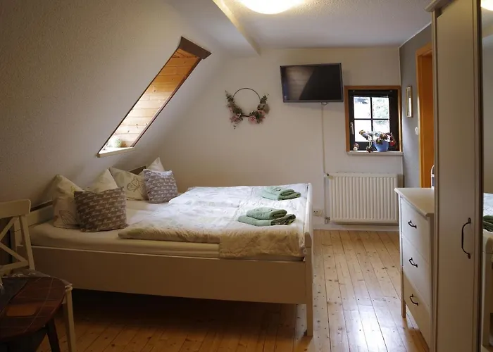 Wirtschaft & Zum Huthaus Affittacamere Schneeberg (Saxony)