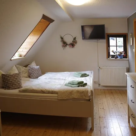 Wirtschaft&pension Zum Huthaus Gasthof Schneeberg (Saxony)