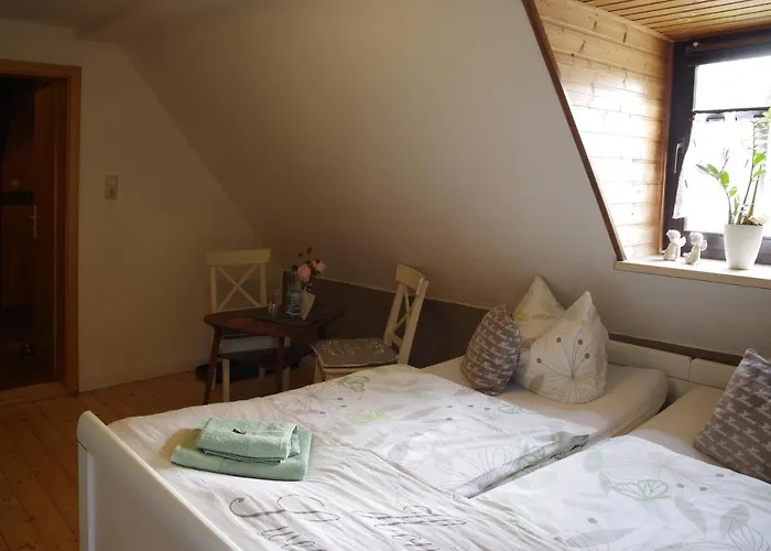 Wirtschaft&pension Zum Huthaus Gasthof Schneeberg (Saxony)
